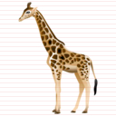 giraffe_icon.jpg