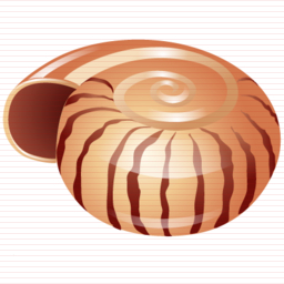 Shell Icon