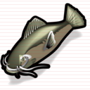 Catfish Icon
