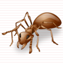 Ant Icon