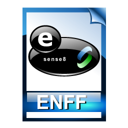 enff_format_icon