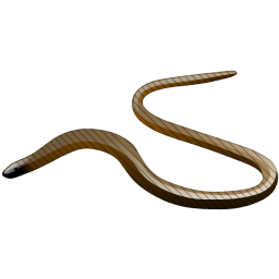 snake_icon