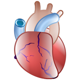 cardiology_icon