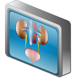 urology_icon