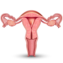 gynecology_icon