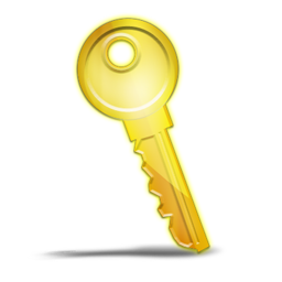 primary_key_icon