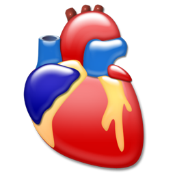 cardiology_icon