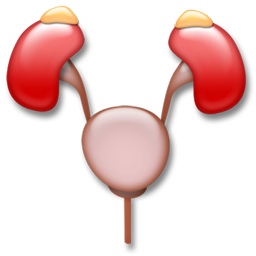 urology_icon