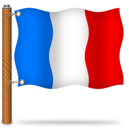 flag_france_icon