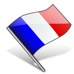 flag_france_icon