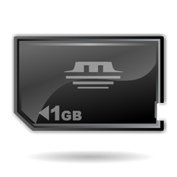 memory_stick_duo_icon